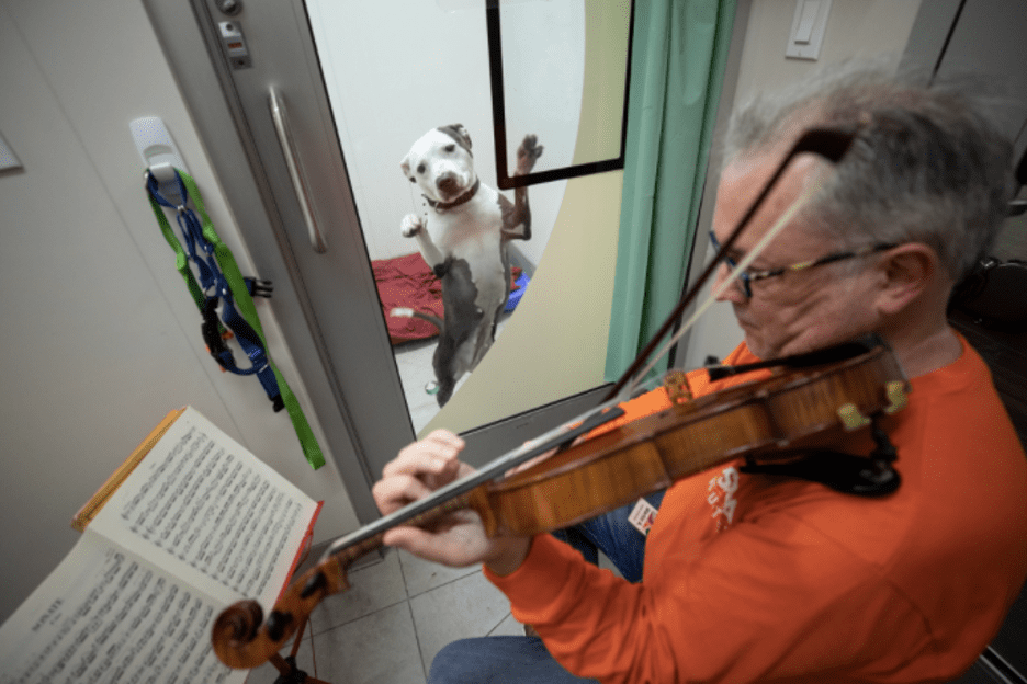 Martin Agee playing classical music for a dog that’s recovering from abuse