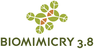 Biomimicry Logo
