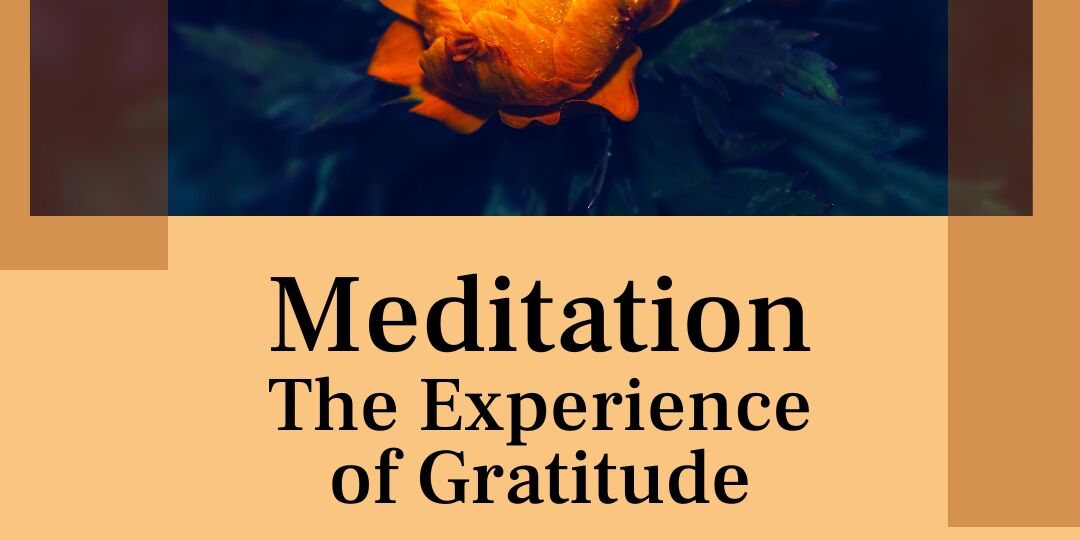 Meditation: The Experience of Gratitude